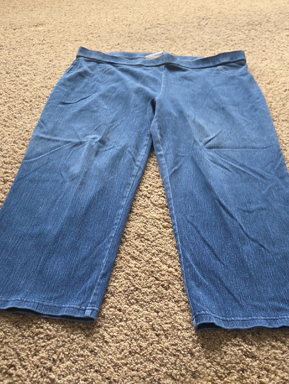 Alfred Dunner Blue Cropped Wide-Leg Jeans